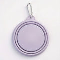 Collapsible Silicone Travel Bowl