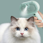 Steam Spray Detangling Comb