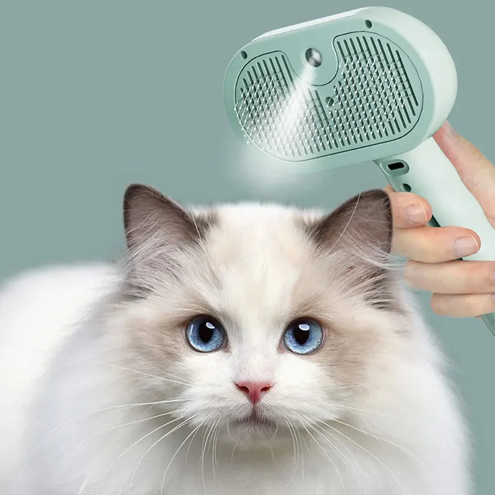 Steam Spray Detangling Comb