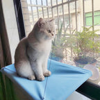 Suction Mount Cat Window Bed