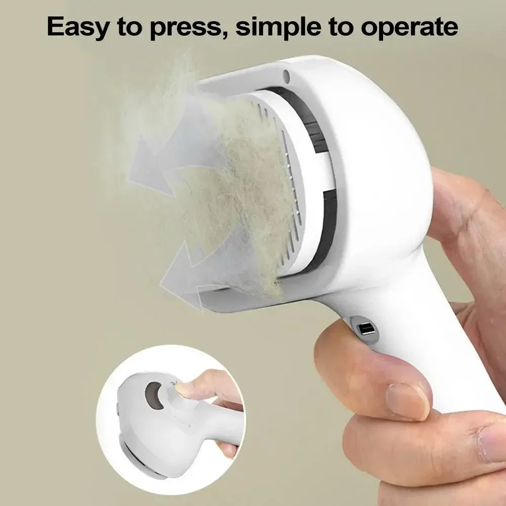 Steam Spray Detangling Comb