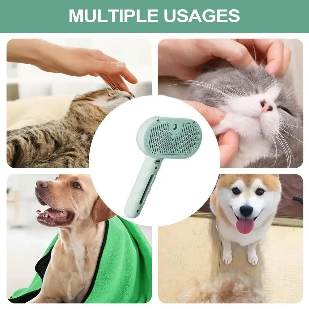Steam Spray Detangling Comb