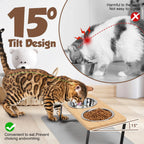 Elevated Tilted Cat Bowl Stand