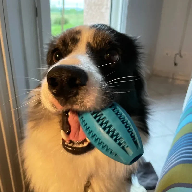 Natural Rubber Treat Dispensing Chew Ball