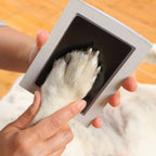 Paw Print Keepsake Kit