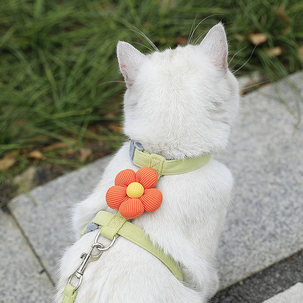 Adjustable Cat Harness & Leash Set