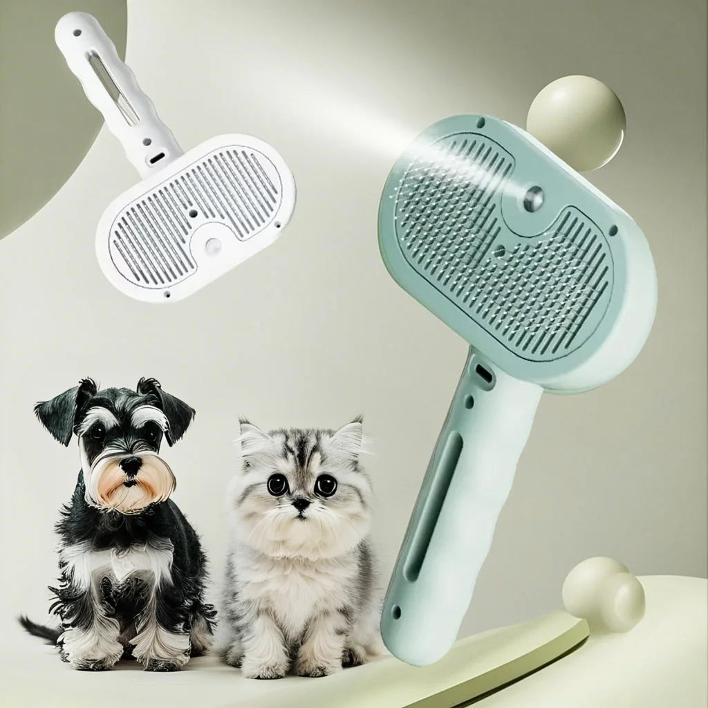 Steam Spray Detangling Comb