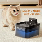 ROJECO Wireless Water Fountain