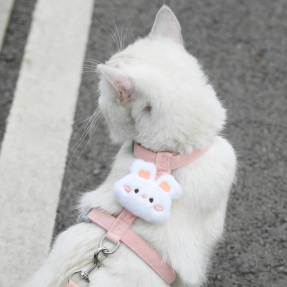 Adjustable Cat Harness & Leash Set