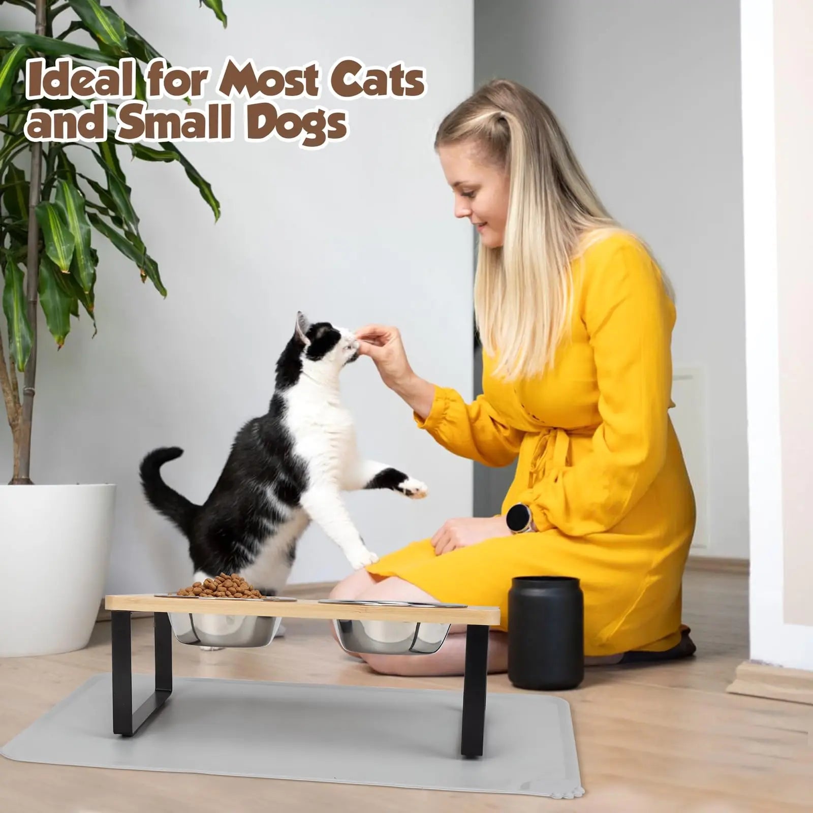 Elevated Tilted Cat Bowl Stand