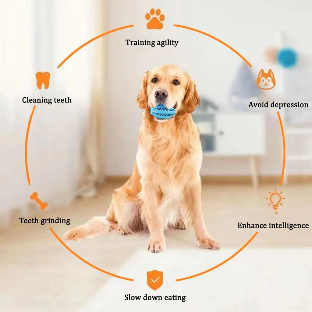 Natural Rubber Treat Dispensing Chew Ball