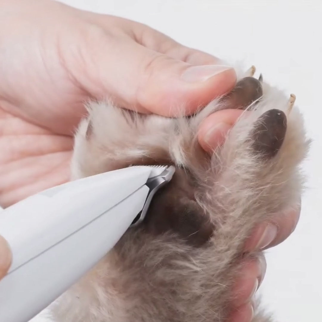 Waterproof LED Paw Trimmer