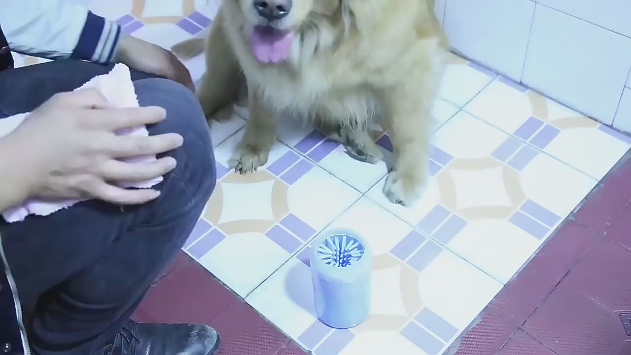 Silicone Paw Cleaning Cup