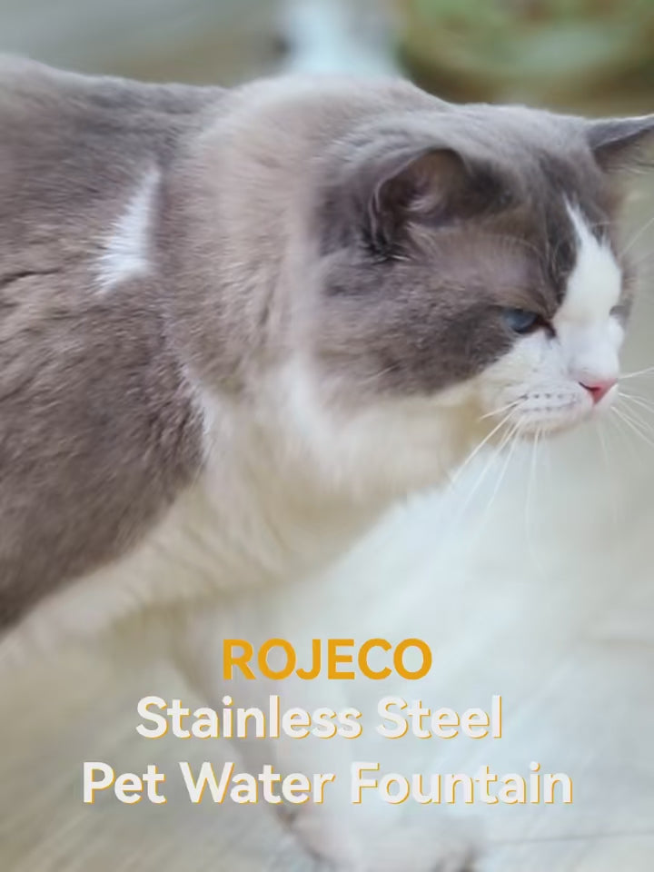 ROJECO Stainless Steel Cat Fountain