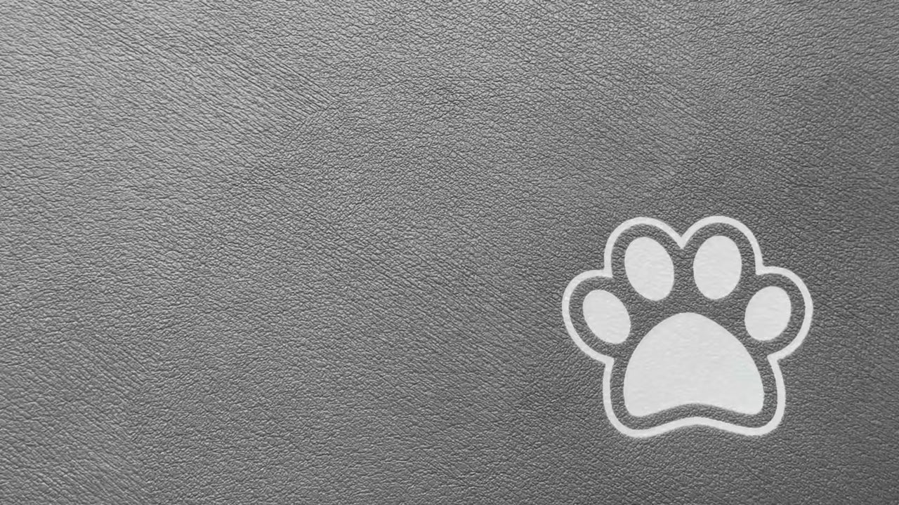 Waterproof Pet Feeding Mat