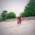 Hooded Waterproof Dog Jumpsuit