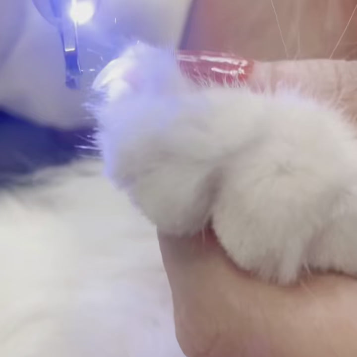 LED Nail Clipper with Safety Lock